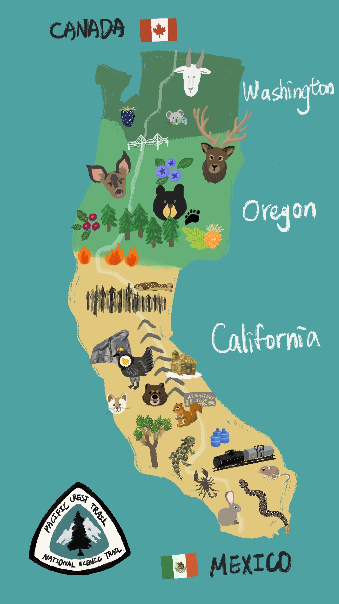 【徒步旅行｜長途健行】太平洋屋脊步道 Pacific Crest Trail