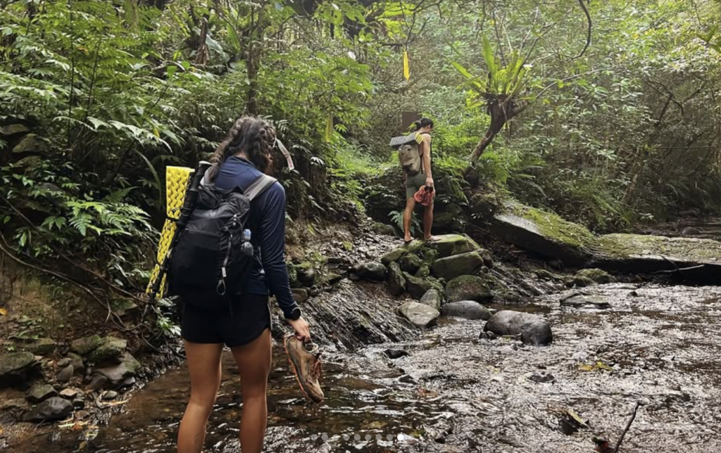 danlan trail creek